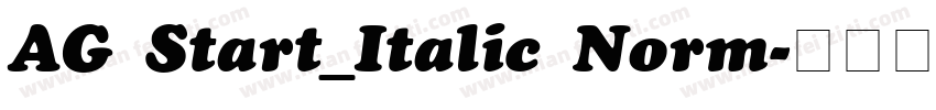 AG Start_Italic Norm字体转换